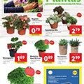 Antevisão Folheto LIDL Promoções a partir de 11 maio d24.jpg